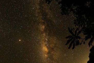 هتل Gringo Perdido