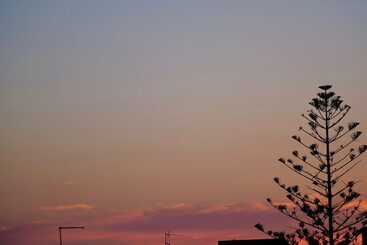 住宿加早餐  Villa Elite