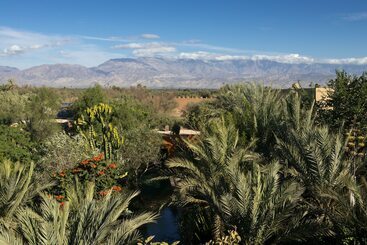 Bed and Breakfast Dar Al Hossoun