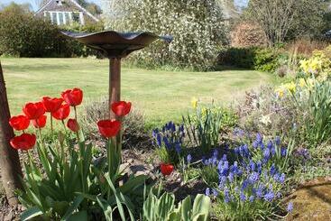 Bed and Breakfast The Barn At The Coach House