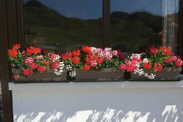 Отель Hôtel Les Skieurs