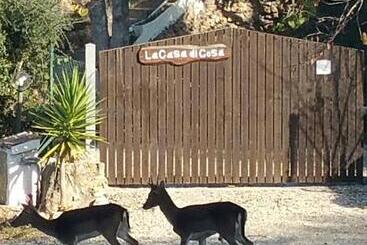 צימר La Casa Di Cosa