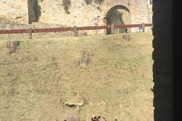 ベッドアンドブレックファースト Appartamenti Il Criollo