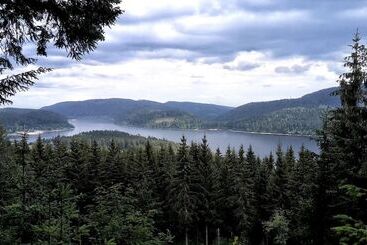 Hotel Hochschwarzwald Hof