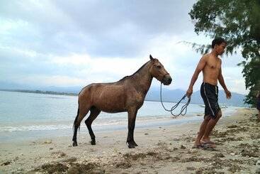 فندق Villa Coco Republic