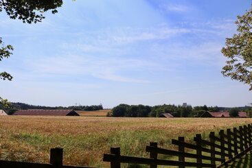 هتل Plexus Hytterne