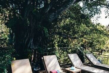 酒店 Seagull Cove Resort