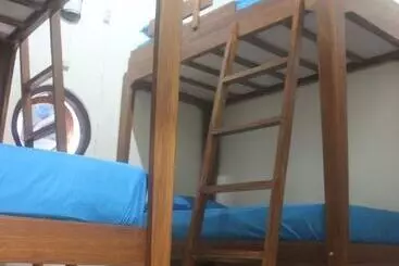 هاستل Dorme Tree