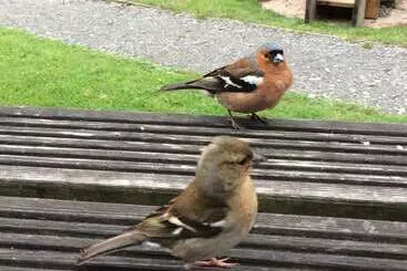 Bed and Breakfast Exmoor House