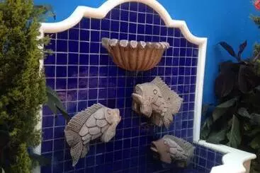 Bed and Breakfast Casa Coco