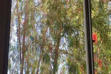 בית מלון כפרי Caiman