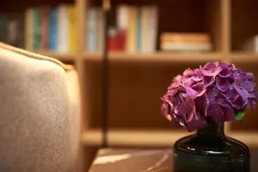 Hotel Beyond By Geisel   Adults Only