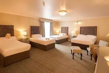 Treacys Oakwood Hotel, Shannon