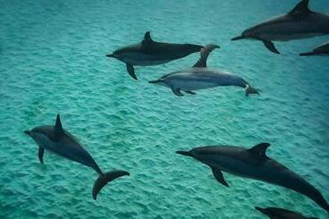 Отель La Mariposa Mauritius