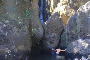 تختخواب و صبحانه El Yunque Rainforest Inn