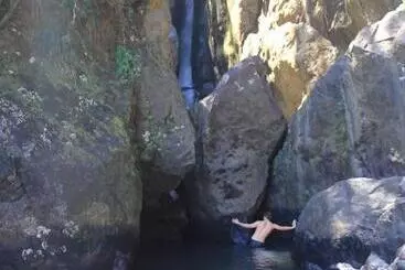 تختخواب و صبحانه El Yunque Rainforest Inn