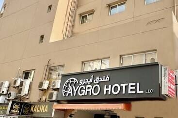 Отель Aygro