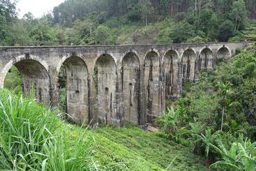 Hotel Arana Sri Lanka Eco Lodge And Yoga Center