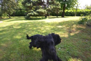 Bed & Breakfast Ottoquadri