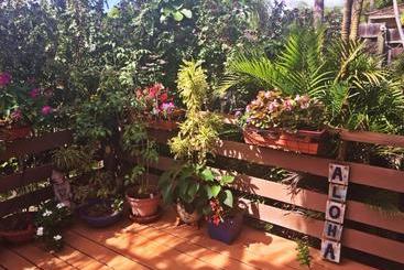 Hotel Ocean Breeze Hideaway