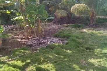 هتل G's Place