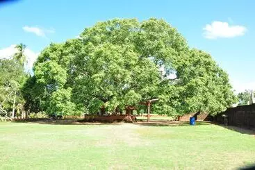 ホテル Leopard City Hostel