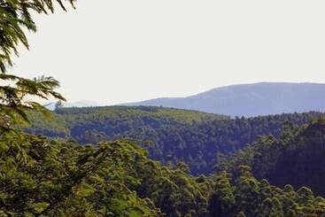 ホテル Tanamera Lodge