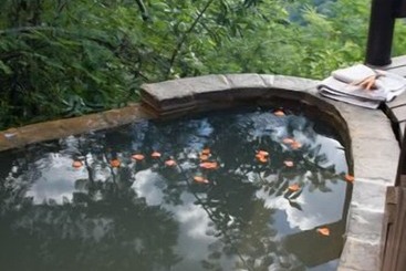 ホテル Tanamera Lodge