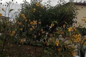 酒店 La Nuova Dimora B&b