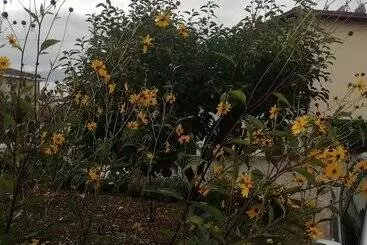 Hotelli La Nuova Dimora B&b