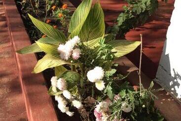 پانسیون Tabonina Guesthouse