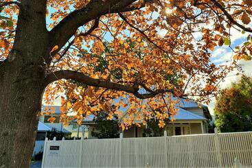 관광객 아파트 Healesville House   Magnolia House