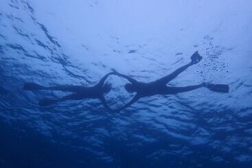 پانسیون Sealavie Inn