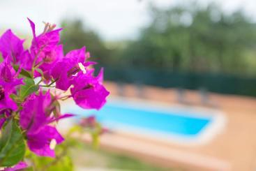 Apartamentos turísticos Sol Post