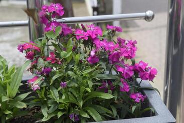 בית מלון כפרי Ess & Bee Resorts