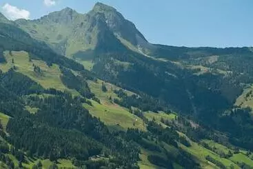 Apartamenty turystyczne Appartements Hartlbauer