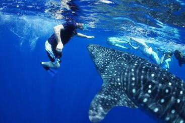 Hotel Blue Marlin Beach