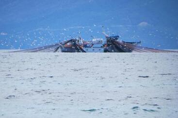 Pensionat Athos Guest House Pansion