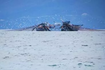 Pension (Hôtel basse catégorie) Athos Guest House Pansion