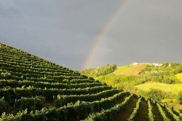 فندق La Cascina Del Castello