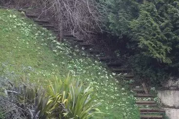 ペンション Wye Valley