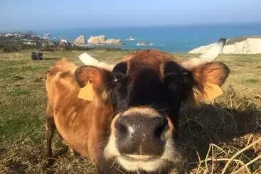 Majatalo Posada La Morena