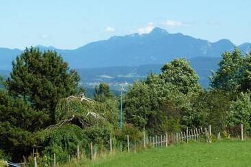 Pensió Gästehaus Alpina