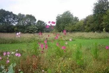 ベッドアンドブレックファースト Bambou Lodge