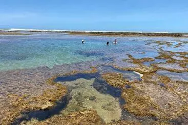 Pension Refúgio Do Corsário Imbassai Ba