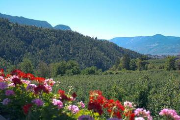 فندق Pension Thalerhof