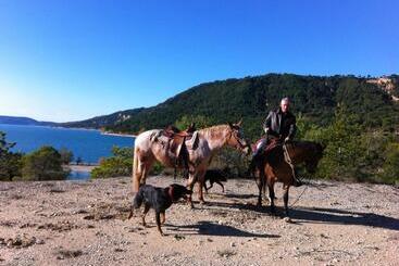 پانسیون Domaine D Angouire