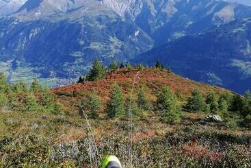 旅馆 Landgasthof Steiner