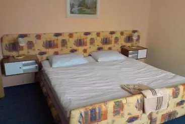 Pension Berta