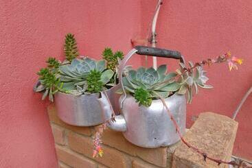 פנסיון Pousada Chácara Pacheco